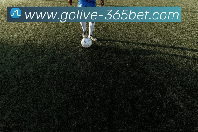 365bet平台生态图